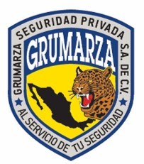 Academi
